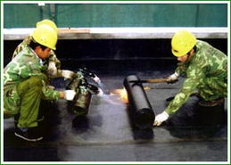 杭州旺旺家政公司 專業(yè)防水補(bǔ)漏服務(wù)與高清圖解